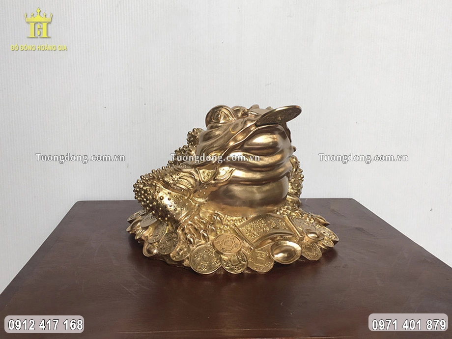 Tượng Cóc Ngậm Tiền Xu Bằng Đồng Vàng 20Cm
